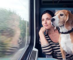 Indian Railways Dog Travel Rules में बड़ा बदलाव