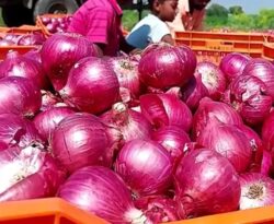 रांची में प्याज के दाम में गिरावट, थोक कीमत 46 रुपये किलो तक पहुंची