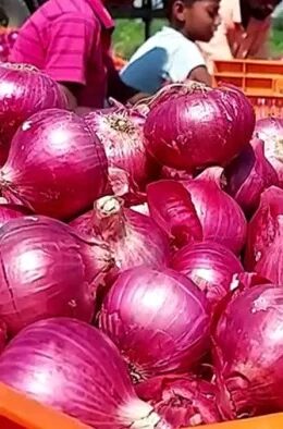 रांची में प्याज के दाम में गिरावट, थोक कीमत 46 रुपये किलो तक पहुंची