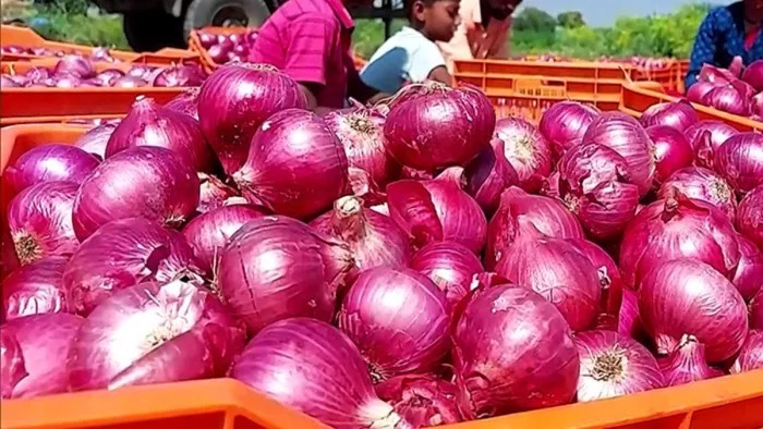 रांची में प्याज के दाम में गिरावट, थोक कीमत 46 रुपये किलो तक पहुंची