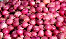 Onion Price: दिल्ली में 35 रुपये किलो मिलेगी प्याज