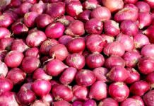 Onion Price: दिल्ली में 35 रुपये किलो मिलेगी प्याज