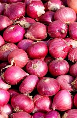 Onion Price: दिल्ली में 35 रुपये किलो मिलेगी प्याज