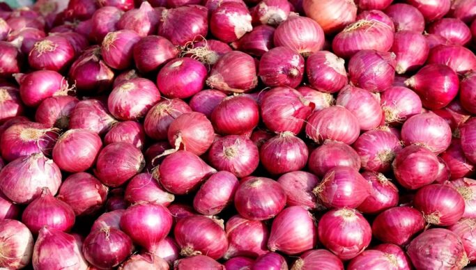 Onion Price: दिल्ली में 35 रुपये किलो मिलेगी प्याज