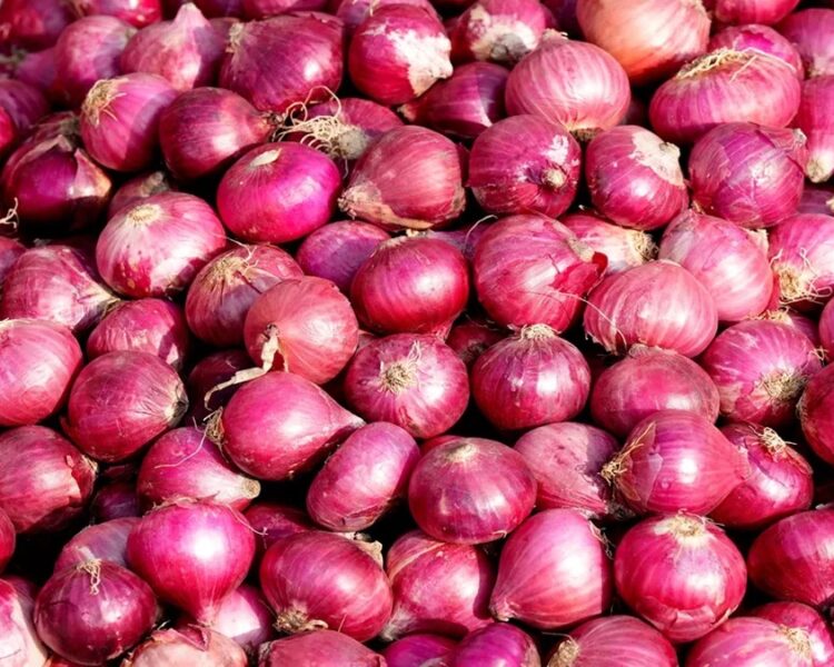 Onion Price: दिल्ली में 35 रुपये किलो मिलेगी प्याज