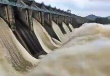 Maithon Panchet Dam Water Level: मैथन-पंचेत डैम का बढ़ा जलस्तर