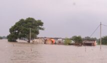 गंगा ने तोड़े पुराने रिकॉर्ड, पटना समेत 12 जिलों में बाढ़ का अलर्ट