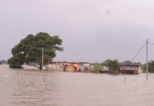 गंगा ने तोड़े पुराने रिकॉर्ड, पटना समेत 12 जिलों में बाढ़ का अलर्ट