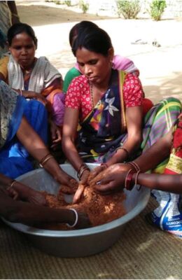 महुआ से बदलेगी ग्रामीण महिलाओं की जिंदगी? झारखंड के 11 अभयारण्यों में नई योजना
