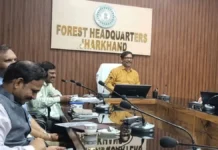 झारखंड के 20 वन प्रमंडलों में चलेगी नई पहल, जंगल बचाने के साथ रोजगार पर जोर