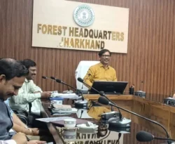झारखंड के 20 वन प्रमंडलों में चलेगी नई पहल, जंगल बचाने के साथ रोजगार पर जोर