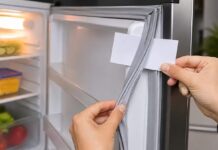 Fridge Cooling Tips: फ्रिज की रबर खराब होने से घट सकती है कूलिंग, बढ़ सकता है बिजली बिल