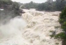 रांची के दशम फॉल में हादसा, तेज बहाव में बहा पटना का 26 वर्षीय युवक; तलाश जारी